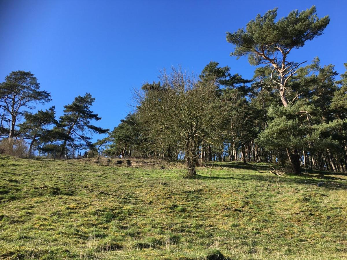Villa Anna Penzance Dış mekan fotoğraf